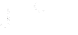 Logo primaire JEMMA COSMETIC BLANC 4x